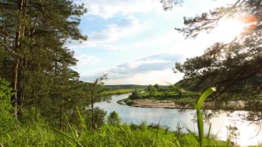 Nehir yatağının kıvrımlarında güneş parlıyor. Çam ağaçlarının gövdelerinden nehrin panoramik yaz manzarası. Ağaç dalları ve rüzgarda sallanan çimenler. Kamp, yürüyüş, eko-turizm, ekoloji