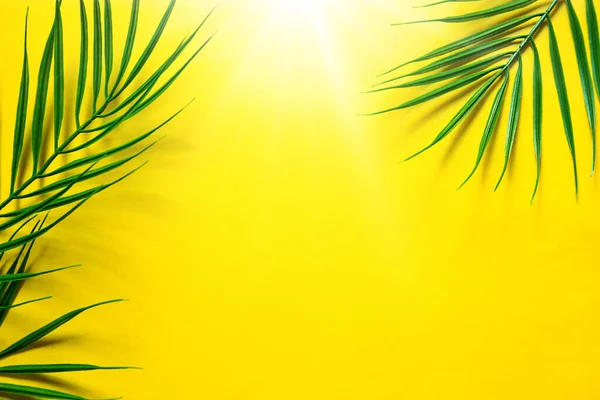 Gelber Sommerhintergrund Mit Palmenblättern Das Thema Strand Tropischer Urlaub Heiße — Stockfoto