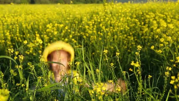 Girl Yellow Hat Hides Tall Grass Jumps Out Sun Summer — Stock Video