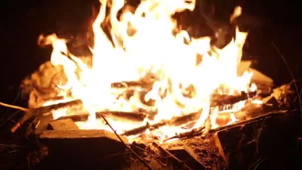 Chama Incêndio Numa Fogueira Arder Noite Caminhadas Reuniões Fogueira Uma — Vídeo de Stock