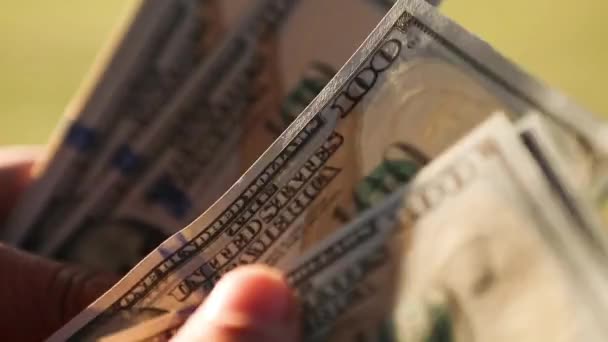 Eller Paraları Sayar Dolar Kaydırır Yelpaze Gibi Yayılır Banknotları Çevirir — Stok video