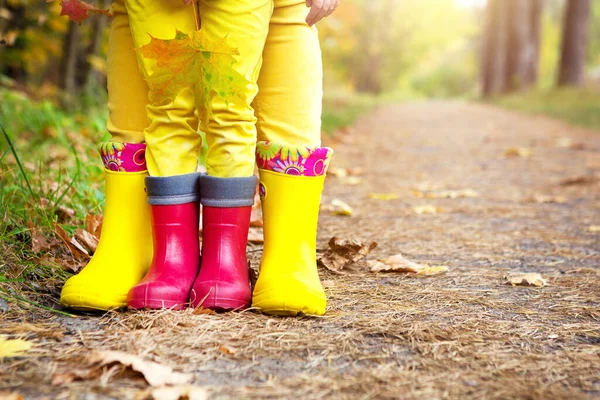 Feet in red and yellow rubber boots of a mother and daughter in the autumn forest. Seasonality, seasons, fallen dry maple leaves, family walk, feeling of love and care, parenthood