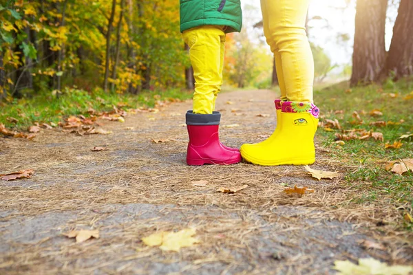 Feet in red and yellow rubber boots of a mother and daughter in the autumn forest. Seasonality, seasons, fallen dry maple leaves, family walk, feeling of love and care, parenthood
