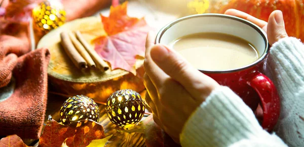 Düşmüş akçaağaç yapraklı sıcak kakaolu kırmızı bardak, yuvarlak lambalar, çelenkler, tarçın çubukları, sıcak battaniye. Sonbahar atmosferi, ılık kahve, beyaz kazaklı kadın elleri, rahatlık ve rahatlık.