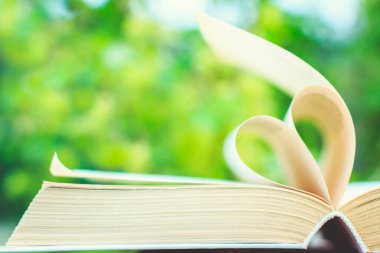 Açık yeşil arka planda kitap sayfasına karşı kalp bulanıklığı. Yumuşak odaklanma. Uzayı kopyala Aşk ya da okuma kavramı