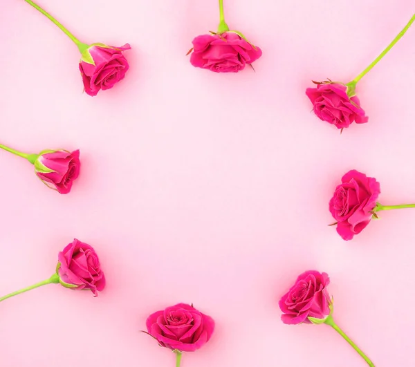 Pembe güller. Çiçek çerçevesi. Kadın narin bir geçmişi var. Model