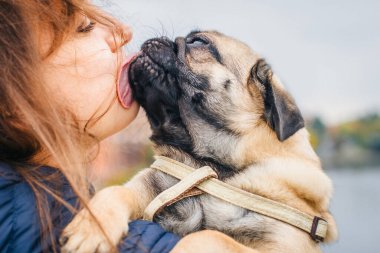 Pug sahibinin yüzünü yalıyor. Mutlu gülümseyen kadın ve köpeği. Bir kız ve evcil hayvan portresi