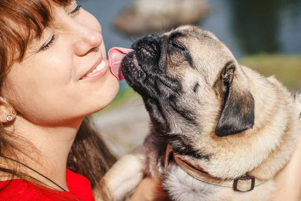 Pug sahibinin yüzünü yalıyor. Mutlu gülümseyen kadın ve köpeği. Bir kız ve evcil hayvan portresi