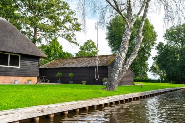 İp salıncak evin bahçesindeki çam ağacına bağlanmış, göl kanalı kenarında..