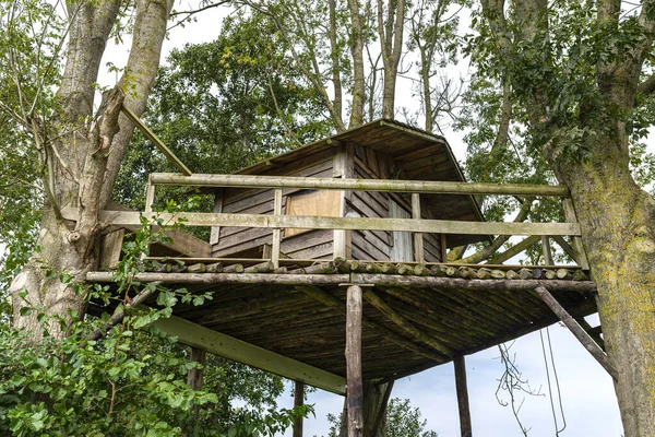 丸太小屋の二本の木の間に建てられた木造の小さな家 — ストック写真
