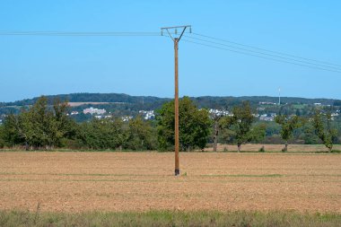 Ağaçlarla kaplı arka plandaki tarlaların ortasında duran tahta bir elektrik direği..
