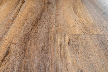 Modern vinil panellerden yapılmış arka plan seçici odaklı bir oturma odasında ahşabı taklit ediyor..