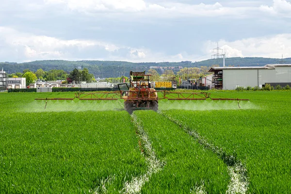 Spraya Ett Gröda Fält Med Traktor Som Har Tank Med — Stockfoto