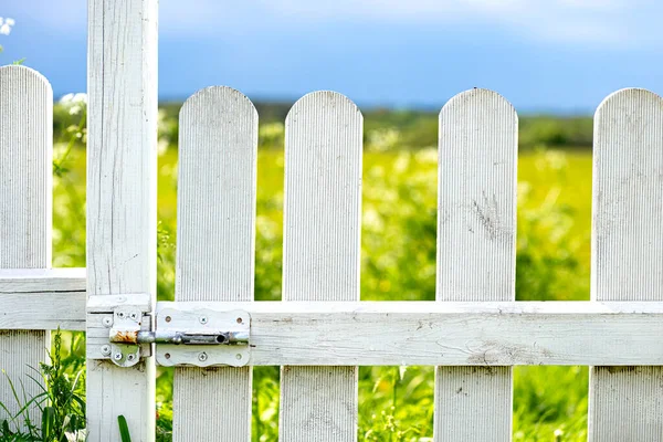 Wooden Fence Painted White Rural Garden Background Field Flowers Blue — 스톡 사진