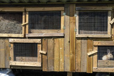 Kapısında metal bir ağ olan ahşap kafes kırsal alanda duran tavşanları çiftleştirmek için..