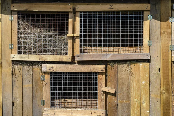 Wooden Cage Metal Net Door Breeding Rabbits Standing Countryside — Stock Photo, Image