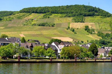 Cochem, Almanya, 13 Haziran 2021. Nehir kıyısındaki evler, Almanya 'nın Rhineland-Palatinate eyaletinde yer alan Moselle Nehri üzerinde yer alan Cochem kasabasına bağlı. Arka planda, tepedeki üzüm bağları..