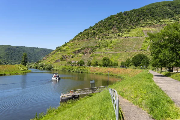 Beautiful View River Flowing Grape Hills Western Germany Motorboat Visible — Stock Photo, Image