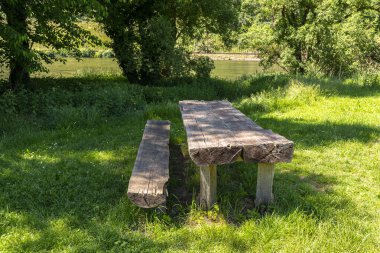 Long tree table with wooden benches in a meadow by the river