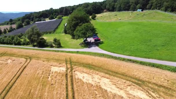 Luftaufnahme Eines Gemähten Weizenfeldes Und Einer Pferdeweide Westdeutschland — Stockvideo