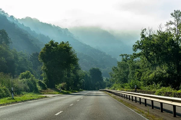 Árvores Crescendo Colina Uma Manhã Enevoada Estrada Era Visível — Fotografia de Stock