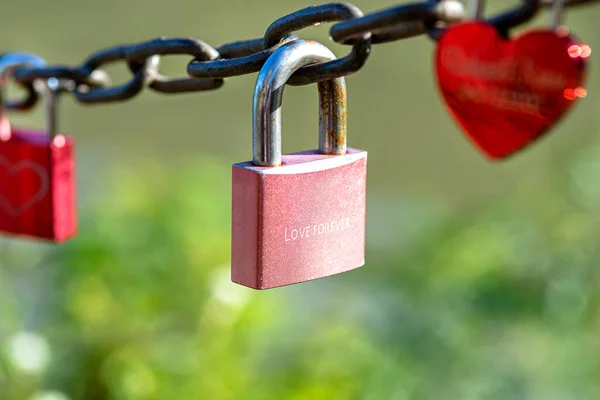 Pink Padlock Hanging Chain Engraved Words Love Forever — Stock Photo, Image