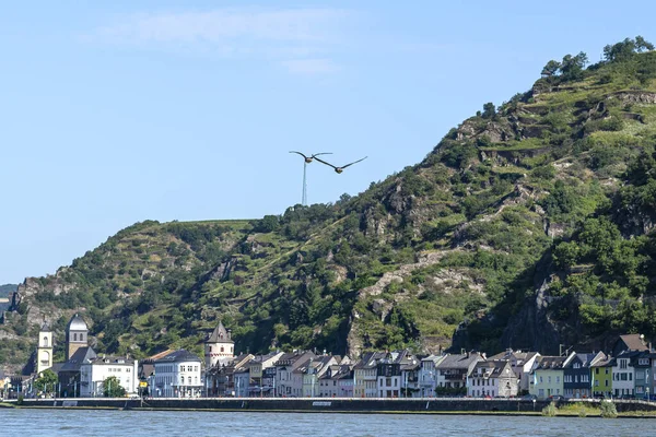Dois Gansos Greylag Voando Sobre Rio Nas Colinas Fundo Edifícios — Fotografia de Stock