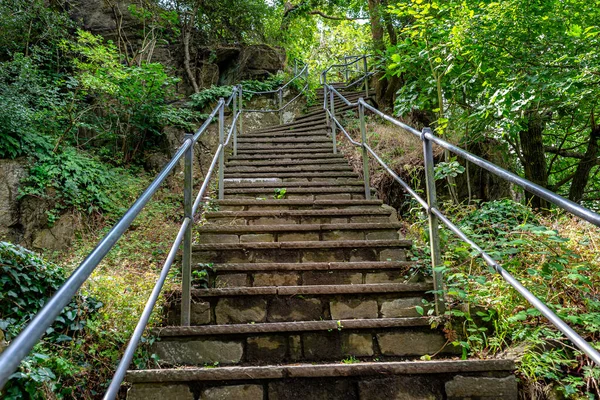 Escaliers Béton Avec Mains Courantes Acier Dans Une Forêt Dense — Photo