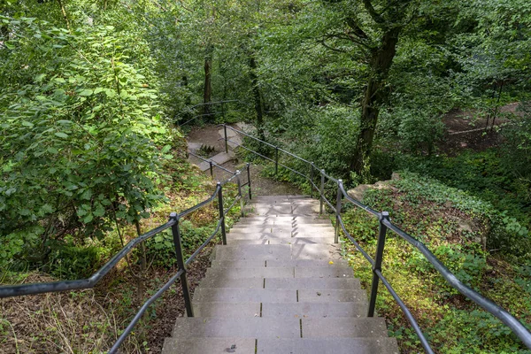 Escadas Concreto Com Corrimãos Aço Uma Floresta Densa Descendo — Fotografia de Stock