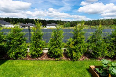 Evdeki çit boyunca ekilen çeşitli bitkiler ve çiçekler.