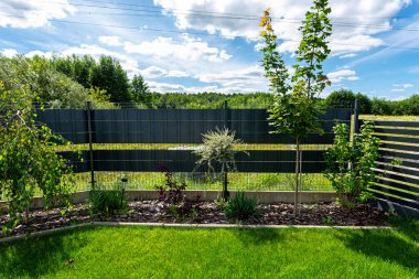 Evdeki çit boyunca ekilen çeşitli bitkiler ve çiçekler.