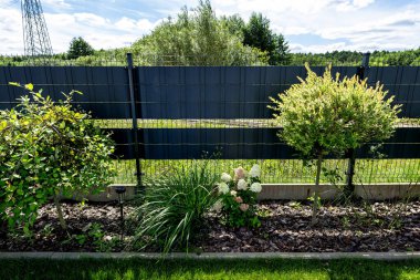 Evdeki çit boyunca ekilen çeşitli bitkiler ve çiçekler.