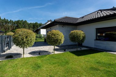 Modern ev bahçesinde yeşil çimenler, gri asfalt ve üç yuvarlak hakuro söğütleri sergileniyor.