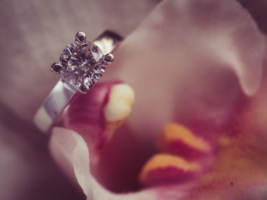 Çiçekteki alyanslar