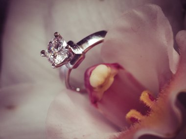 Çiçekteki alyanslar