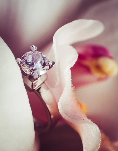 Wedding rings on a flower Stock Photo