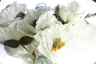 Beyaz arkaplanda çiçekler