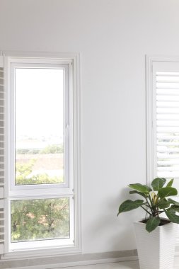 Beyaz ofis duvar, pencere ve yeşil ağaç