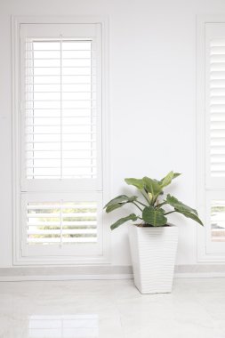 Beyaz ofis duvar, pencere ve yeşil ağaç