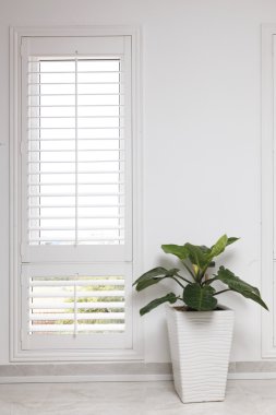 Beyaz ofis duvar, pencere ve yeşil ağaç