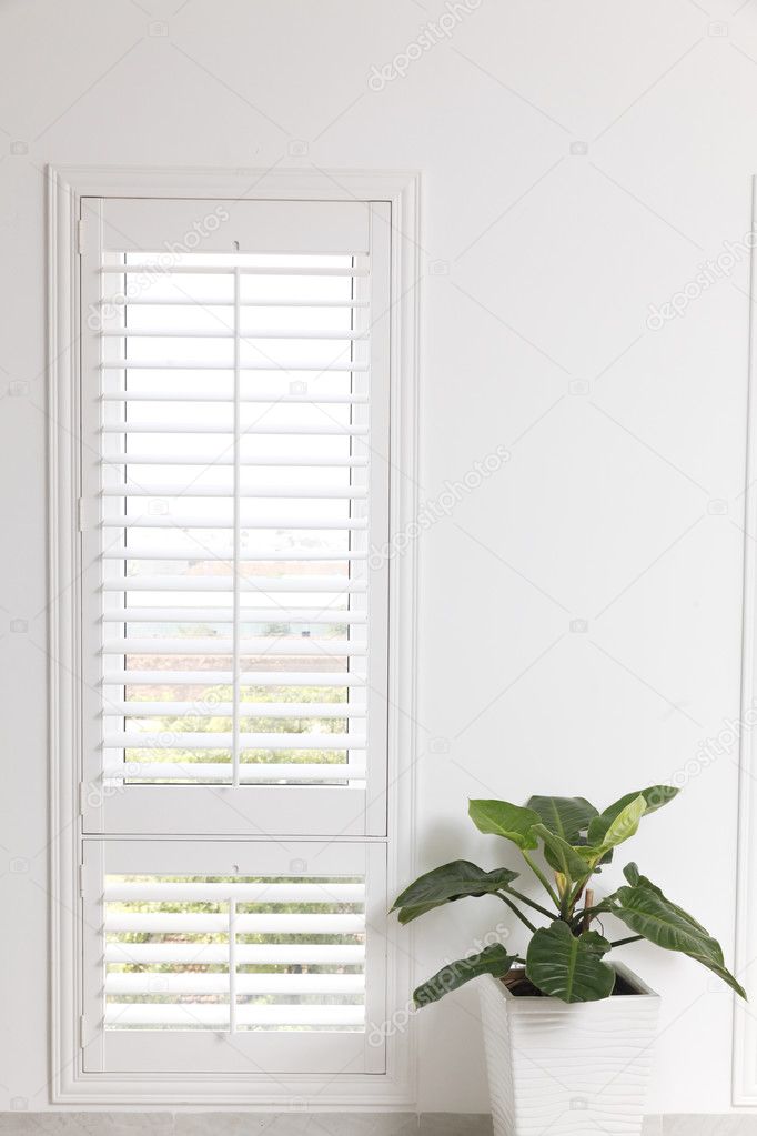 white office wall,  window and green tree