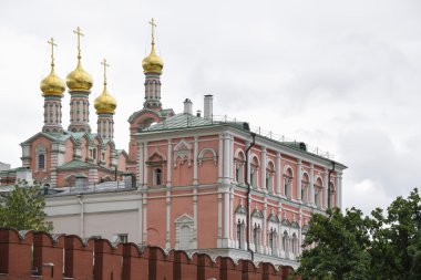 Kremlin kilise kubbeleri