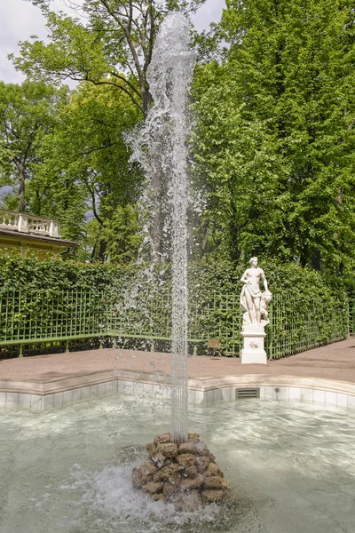 Fountain in the Summer Garden in St. Petersburg — Stock Photo, Image