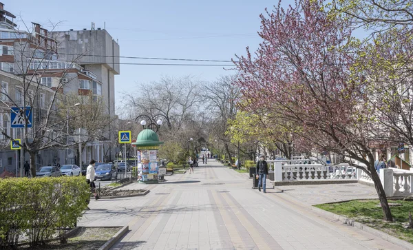 На вулиці Пушкінській, ходьба громадян — стокове фото