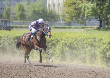 Süvari koşu parkurundakilerden açılış gününde sürmek.