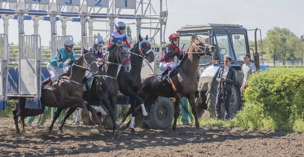 Start of horse racing at the racetrack — Stock Photo, Image