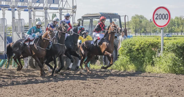 Start of horse racing at the racetrack — Stock Photo, Image