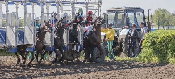 Start van paard racen op het circuit — Stockfoto