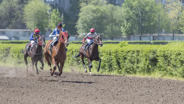 初日に乗って競馬場の騎手 — ストック写真