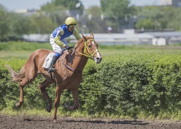 Horseman rides on the racetrack on the opening day — Stock Photo, Image